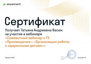 Сертификат-Skysmart-(1)
